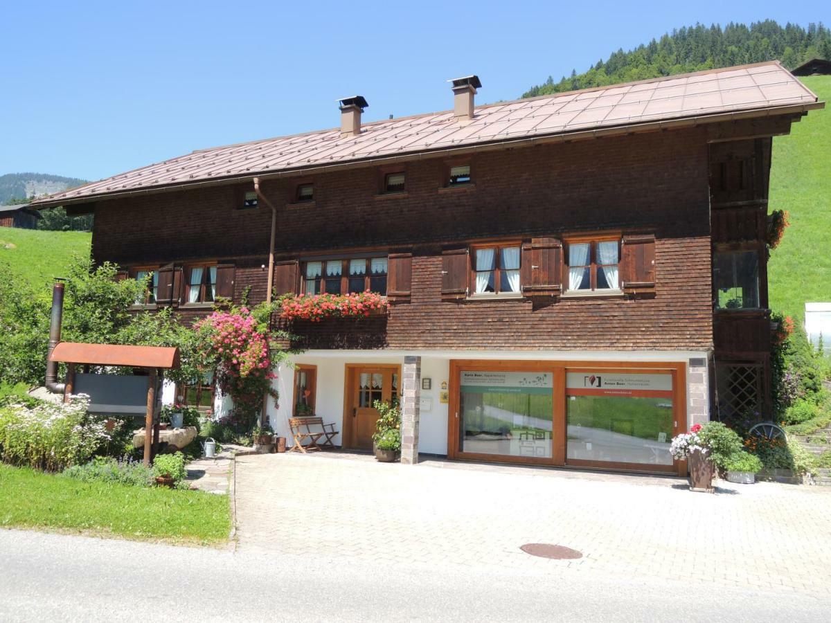 Appartements Karin Mitten Im Gruenen Schoppernau Bagian luar foto