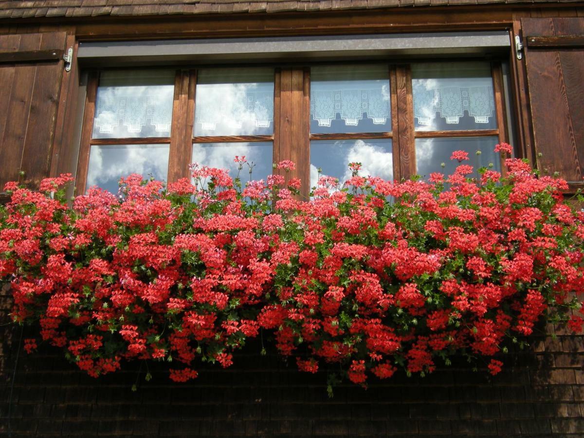 Appartements Karin Mitten Im Gruenen Schoppernau Bagian luar foto