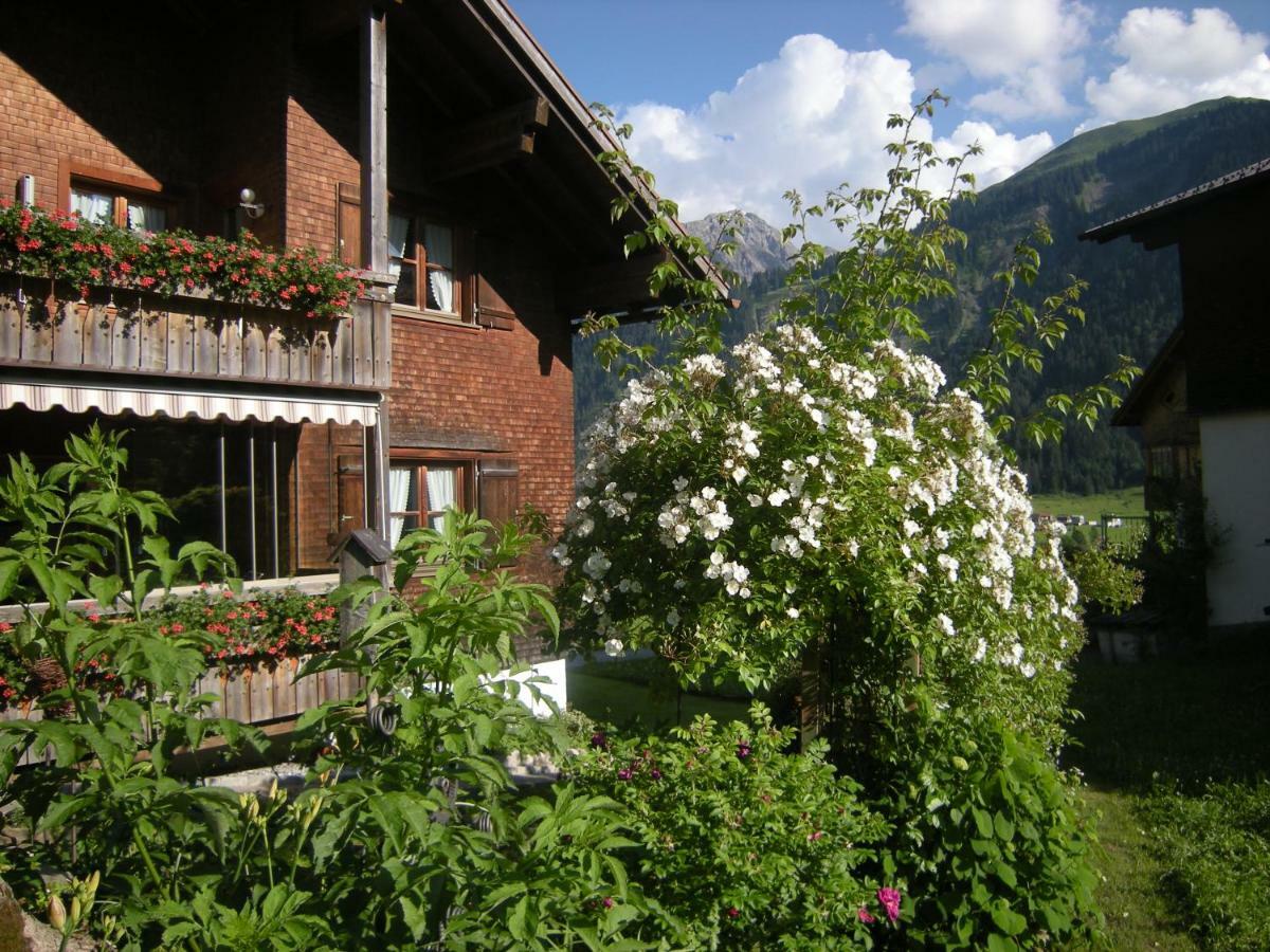 Appartements Karin Mitten Im Gruenen Schoppernau Bagian luar foto